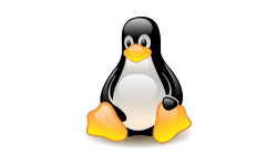 Featured image of post Linux